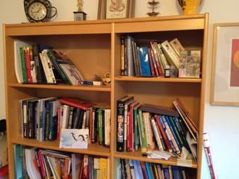 The only book shelf 3