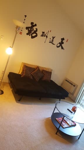 BLACK FUTON- LIKE NEW 2