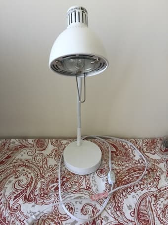 Move out for sale:  floor lamp+ 2 desk lamp 2