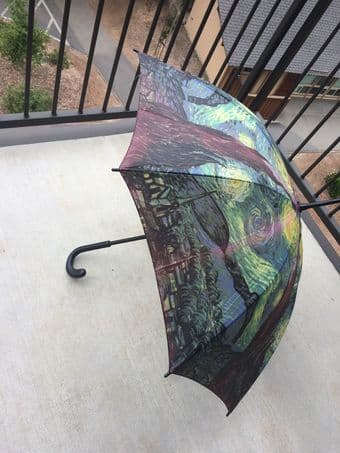 Cool van Gogh umbrella! 1