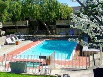Private bedroom in Mountain View available Aug 1 1