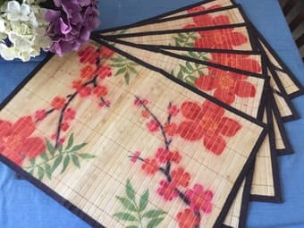 SET OF COLORFUL BAMBOO PLACEMATS 2