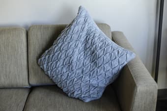 Throw pillow + Case 1