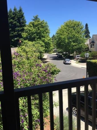 Beautiful 1 bedroom/1 bath near University Avenue in Palo Alto 1