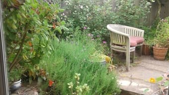 Charming Master Suite available August 11th by Ocean in San Francisco 2