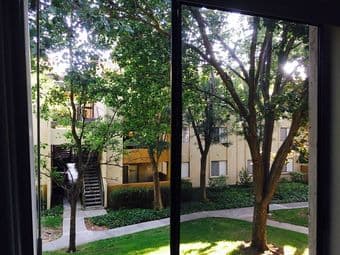 1BR Shared room in 3BR Apt in Mountain View (Available Now!) - $700 2