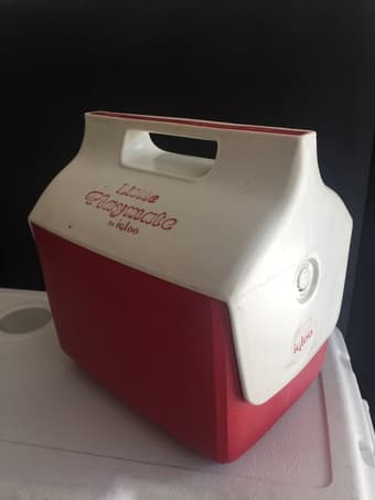 Playmate Cooler 1
