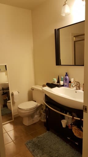 Female Roommate Wanted - Private room/bath 2