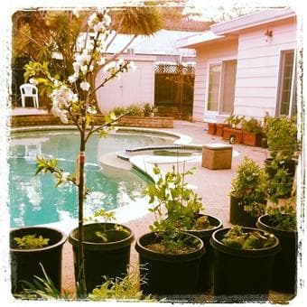 Intentional Community in Silicon Valley 1