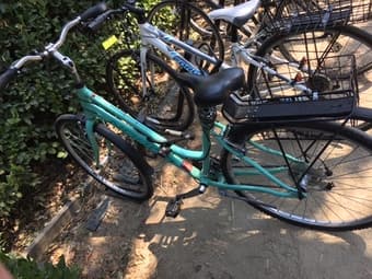 Sea Green Small/Medium Bike 1