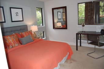 Beautiful Room available in Downtown Mountain View - September 5, 2017 2