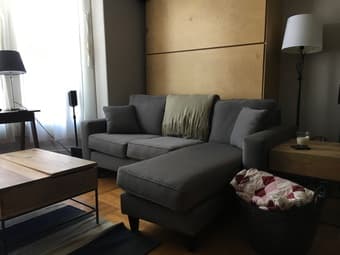 Couch for Sale 2