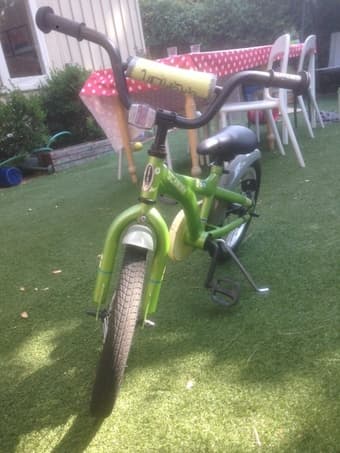 Schwinn children's bike, special edition "Gremlins" 2