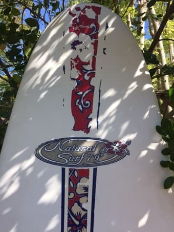 Minilongboard, BIC, 7.9' 3