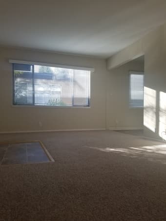 Large room in a spacious, sunny 2 bedroom available September 1st 1
