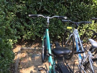 Green Small/Medium Bike for Men and Women 2