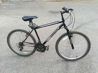 RoadMaster Bike 1