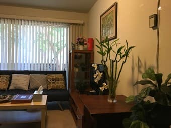 Palo Alto主卧和次卧短期出租-8月15日-8月31日-700刀-条件非常好！ 1