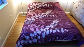 Quilt+ two pillows+ two pillowcases=$5 2