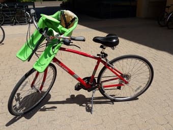 Women bike, Raleigh 1