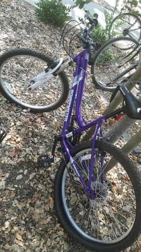 Roadmaster bikes 1