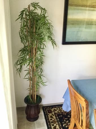 FAKE BAMBOO TREE AND POT 1
