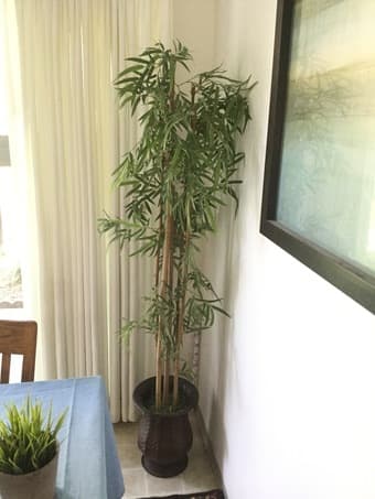 FAKE BAMBOO TREE AND POT 3