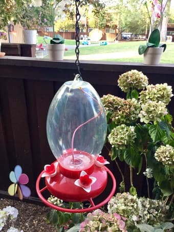 HUMMINGBIRD FEEDER 1