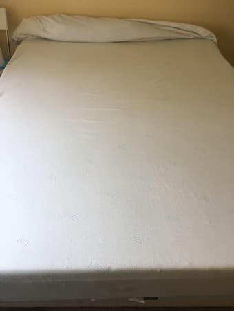 Queen foam mattress + protector+ plastic mattress bag 1