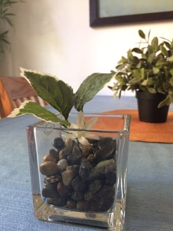DECORATIVE CANDLES AND PEBBLES GLASS 3