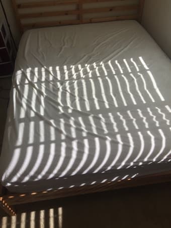 Sealy queen mattress + mattress protector ($150 OBO) 3