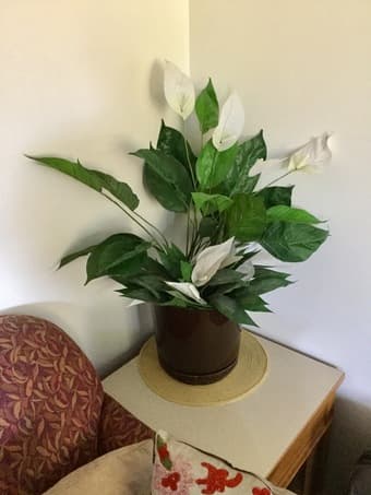 FAKE PLANT AND POT 1