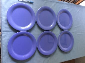 DINNER PLATES 1