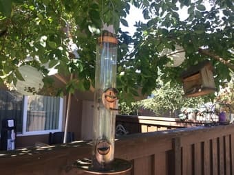 METAL BIRD FEEDER 1