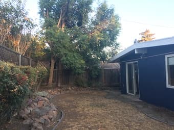 Mountain View home/bedroom available for rent! 1