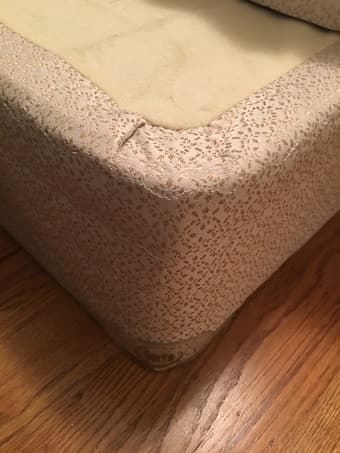 Queen springbox 1