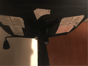 Staples Westerly Chair 3