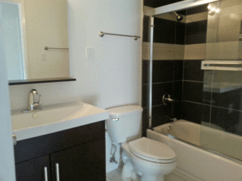 New remodeled 2 Br, Bike room, west side, walk to down town 3