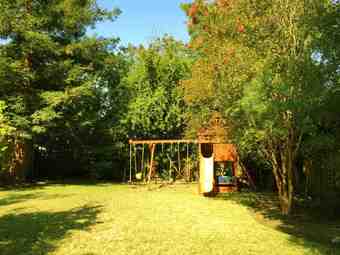 LIVE IN THE TREE HOUSE - Open House Available (Skype, FaceTime ok!) 1