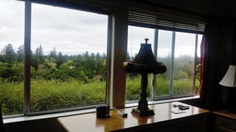 1 Bedroom with shared bath - $1400/month 1