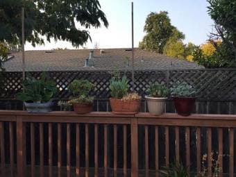 Potted plants and small/large empty pots 2