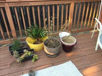 Potted plants and small/large empty pots 3