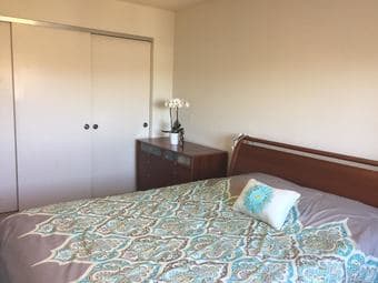 One bedroom apartment/condo available for rent Oct-end of Dec 3