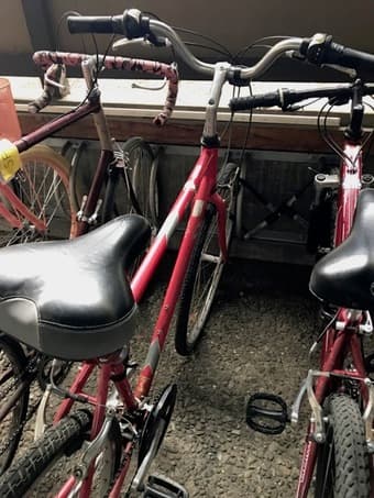 Brentwood Bike For Sale 1