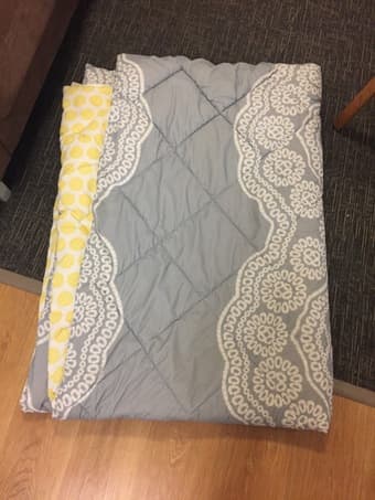 COMFORTER + bed bug protector 1
