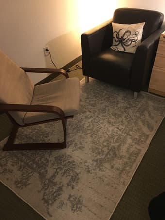 Ivory-colored 4'x6' rug, barely used 1