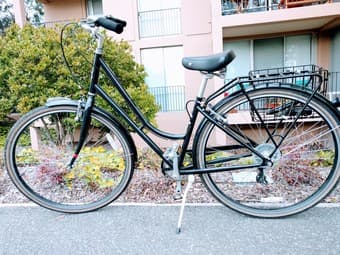 Rayleigh Superbe (MD/LG) + U-Lock + Side Basket 2