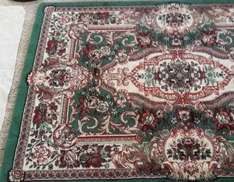 Persian Rug with underlay 2