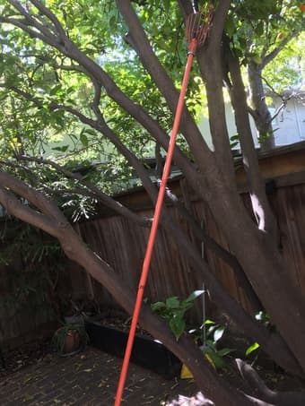 Fruit Picker 1
