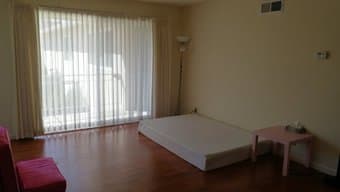 park blvd 2b/1b for rent 独立宽敞客厅出租 1